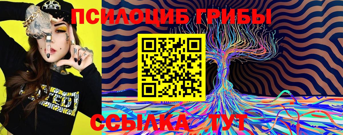 Красноярск  Галлюциногенные грибы прущие грибы  Вход с VPN  Псилоцибиновые грибы мицелий 